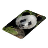 幸せな若いパンダ、中国 マグネット (左側)