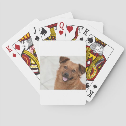 幸せな茶色の子犬 トランプ (裏面)