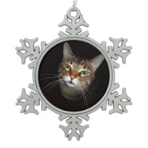 幸せな虎猫Wiskers