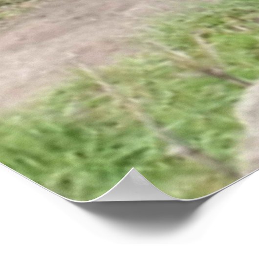 幸せな蜂 ポスター (角)