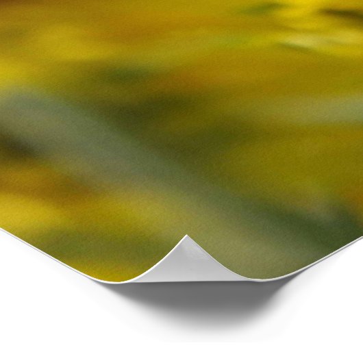 幸せな蜂 ポスター (角)