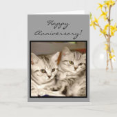 幸せな記念日の虎猫の子ネコの挨拶状 カード (黄色い花)