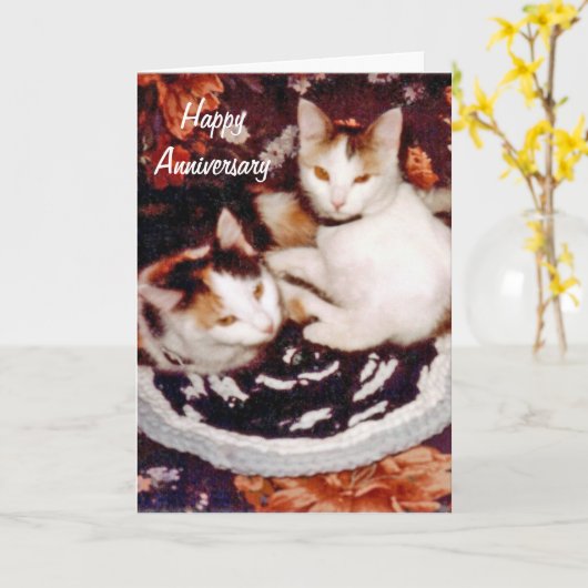 幸せな記念日猫カード カード (黄色い花)