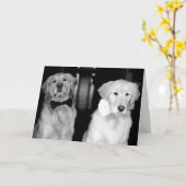 幸せな記念日! カード (黄色い花)