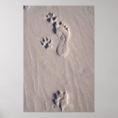 幸せな足 ポスター (正面)