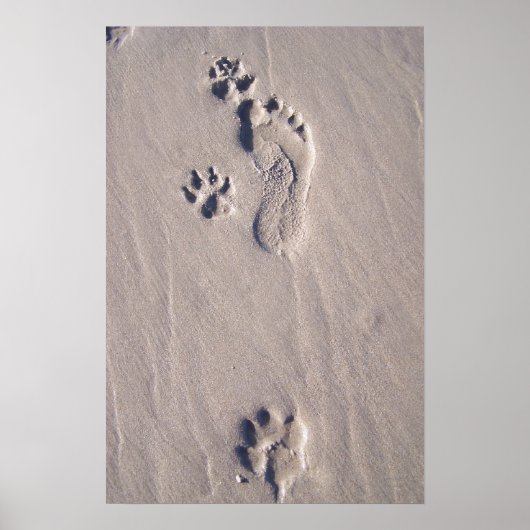 幸せな足 ポスター (正面)