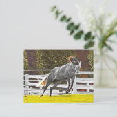 幸せな跳躍の馬 ポストカード (スタンド正面)