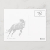 幸せな跳躍の馬 ポストカード (裏面)