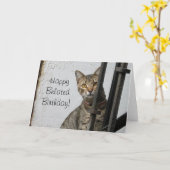 幸せな遅れて誕生日の虎猫猫の挨拶状 カード (黄色い花)