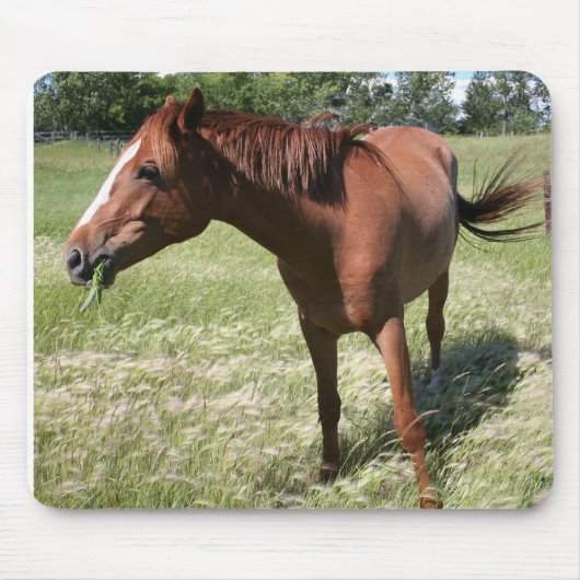 幸せな馬 マウスパッド (正面)