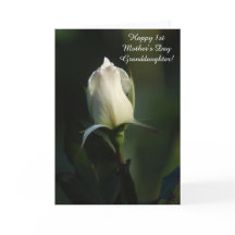 幸せな1日目の母の日の孫