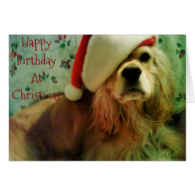 幸せな「クリスマス誕生日」へ (正面横)