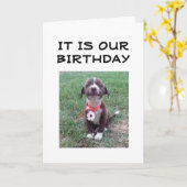 幸せな「相互誕生日」 カード (黄色い花)