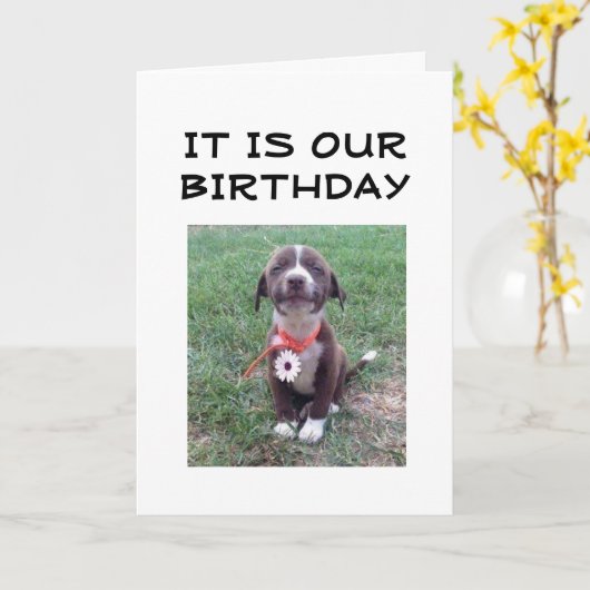 幸せな「相互誕生日」 カード (黄色い花)