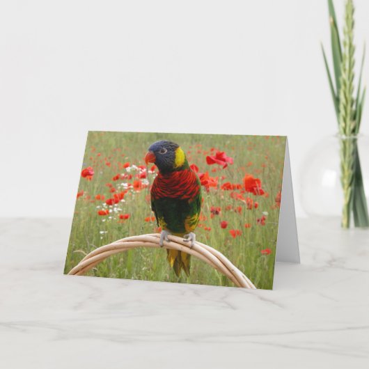 幸せなBirdday! カード (正面)