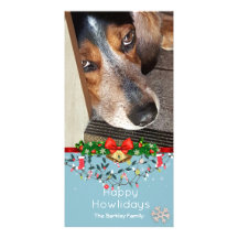 幸せなHowlidaysのビーグル犬の写真のかわいい青