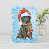 幸せなHowlidaysのベルギー人の牧羊犬 シーズンカード (スタンド正面)