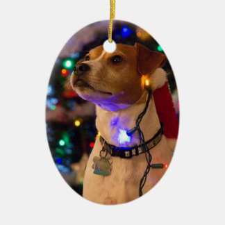 幸せなHowlidays! セラミックオーナメント