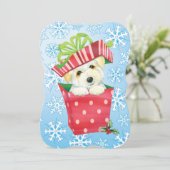 幸せなHowlidays Coton シーズンカード (スタンド正面)