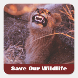 幸せなTauの保存私達の野性生物 スクエアシール