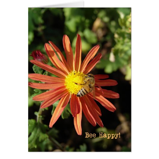 幸せになる (正面)