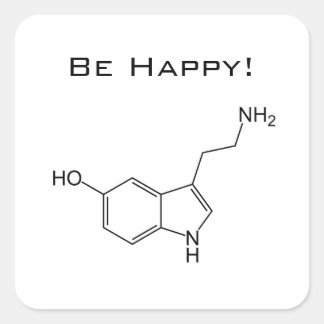 幸せになれセロトニンのシール スクエアシール
