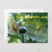 幸せのトンボ ポストカード (正面/裏面)
