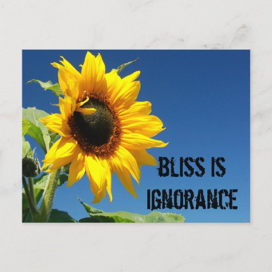 幸せの秘訣は完全な無知である ポストカード (正面)