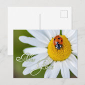 幸せを祈るラッキーレディバグ ポストカード (正面/裏面)