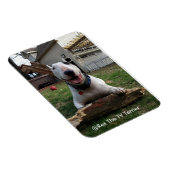 幸せレックス磁石 マグネット (右側)