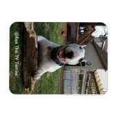 幸せレックス磁石 マグネット (横)