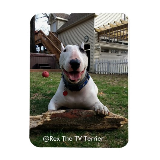 幸せレックス磁石 マグネット (縦)