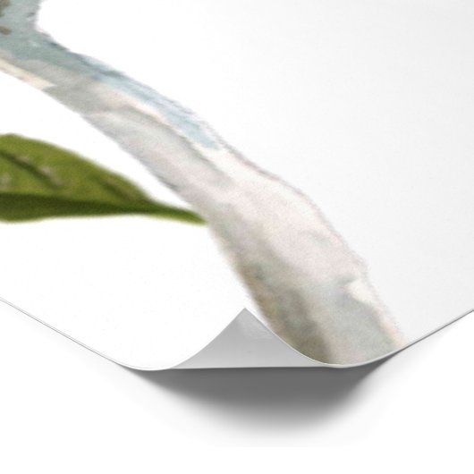 幸せ座の青い鳥のチャート36"x24" ポスター (角)