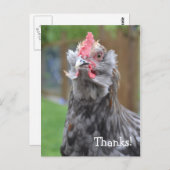 幸せ感謝していな雄鶏から ポストカード (正面/裏面)