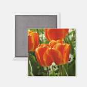 幸せ春磁石 マグネット (正面/裏面)