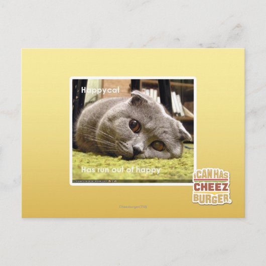 幸せ猫、幸せ ポストカード (正面)