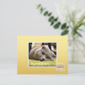 幸せ猫、幸せ ポストカード (スタンド正面)