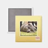 幸せ猫、幸せ マグネット (正面/裏面)