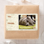 幸せ猫、幸せ ラベル (インサイチュ)