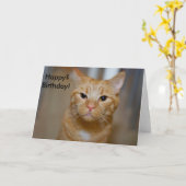 幸せ?バースデー!(この猫は不機嫌そうだ) カード (黄色い花)