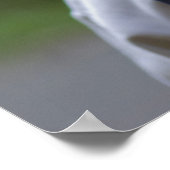 幸せ ポスター (角)