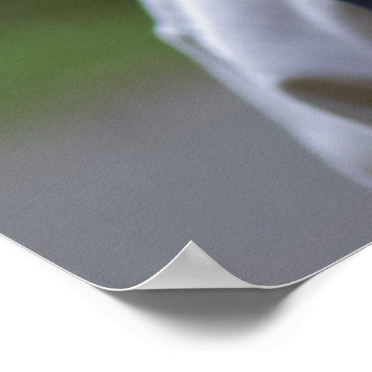 幸せ ポスター (角)