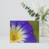 幸せ ポストカード (スタンド正面)