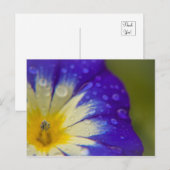 幸せ ポストカード (正面/裏面)