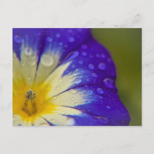 幸せ ポストカード (正面)