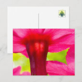 幸せ，喜び，ピンク色の花 ポストカード (正面/裏面)