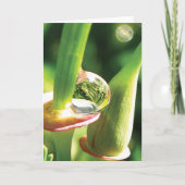 幸せ、魔法、露の友情 カード (正面)