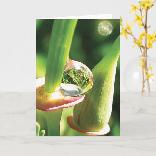 幸せ、魔法、露の友情 カード (黄色い花)