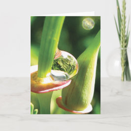 幸せ、魔法、露の友情 カード