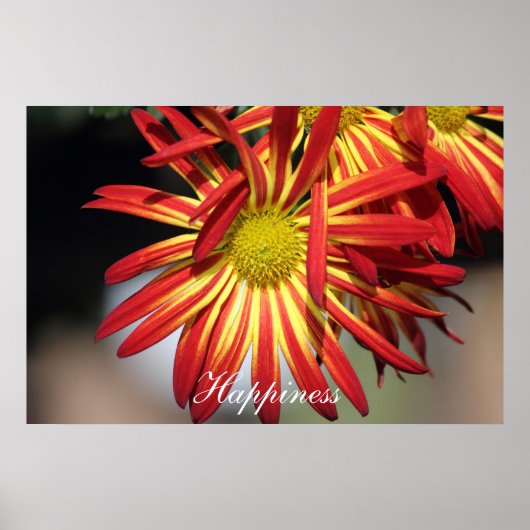 幸やる気を起こさせるせ ポスター (正面)